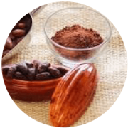 cacao